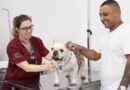 Hospital Veterinário Universitário Municipal realiza quase 15 mil atendimentos em 2024