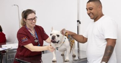 Hospital Veterinário Universitário Municipal realiza quase 15 mil atendimentos em 2024