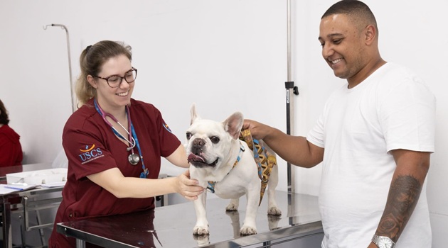 Hospital Veterinário Universitário Municipal realiza quase 15 mil atendimentos em 2024